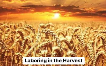 Harvest Field, Laborers Needed